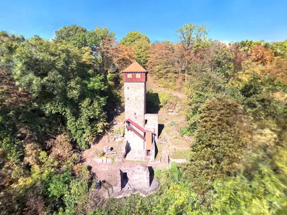 Schräge Luftaufnahme von der Talseite auf den Hang — in der Mitte der schlanke, quadratische Wohnturm aus rötlichem Sandstein-Mauerwerk mit schmalen Schlitzfenstern und Fensterläden in gelb-roten Winkelstreifen, oben ein dunkelrot verschaltes Holzgeschoss unter einem Zeltdach. An seiner Front führt eine überdachte Holztreppe zum Eingang hinauf, rechts schließt ein niedrigerer Mauerblock an. Davor ein kleiner Burghof mit niedrigen Mauerresten und einer Hinweistafel, im Vordergrund ein dachloses Mauergeviert hinter einem Geländer. Ringsum dichter Laubwald in Herbstfarben, grün, gelb und rostrot; dahinter steigt der Hang mit einem Pfad an, oben blauer Himmel.